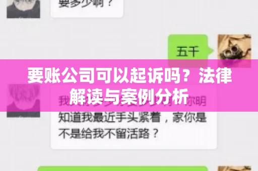 要账公司可以起诉吗？法律解读与案例分析