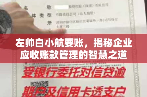 左帅白小航要账，揭秘企业应收账款管理的智慧之道