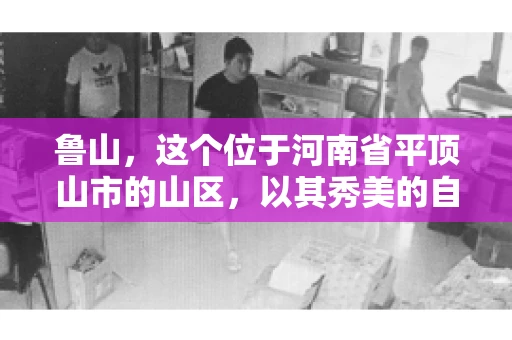 鲁山，这个位于河南省平顶山市的山区，以其秀美的自然风光和丰富的矿产资源而闻名。然而，在商业活动中，难免会遇到一些欠款问题。那么，鲁山有没有要账公司呢？今天，我们就来聊聊这个话题。