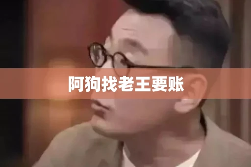 阿狗找老王要账