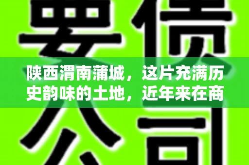 陕西渭南蒲城，这片充满历史韵味的土地，近年来在商业活动中也展现出了其独特的活力。其中，关于“陕西渭南蒲城要账”的话题，成为了不少企业关注的焦点。今天，我们就来聊聊这个话题，看看在蒲城，要账的那些事儿。