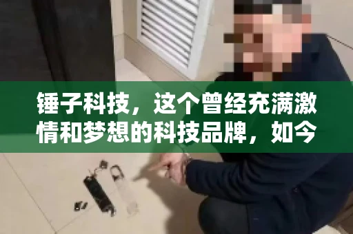 锤子科技，这个曾经充满激情和梦想的科技品牌，如今却陷入了要账的困境。今天，我们就来聊聊锤子科技要账的那些事儿。