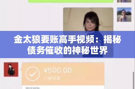 金太狼要账高手视频：揭秘债务催收的神秘世界
