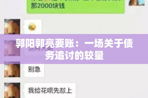 郭阳郭亮要账：一场关于债务追讨的较量