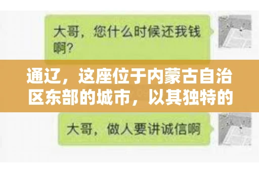 通辽，这座位于内蒙古自治区东部的城市，以其独特的地理位置和丰富的自然资源而闻名。然而，对于许多企业来说，通辽的另一个重要角色可能是其作为要账公司的聚集地。那么，通辽究竟有几家要账公司呢？今天，我们就来聊聊这个话题。