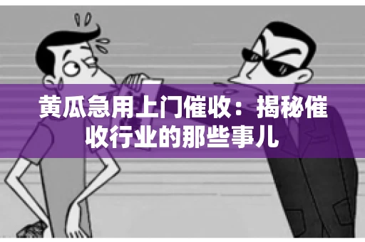 黄瓜急用上门催收：揭秘催收行业的那些事儿