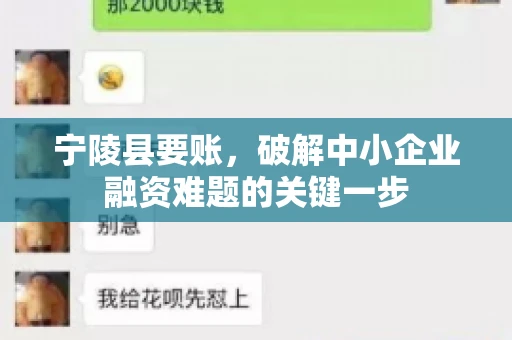 宁陵县要账，破解中小企业融资难题的关键一步